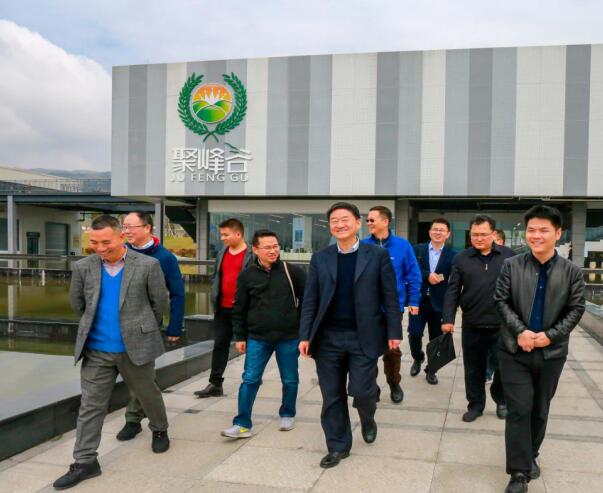 集团党委书记、董事长任丁率队调研聚峰谷