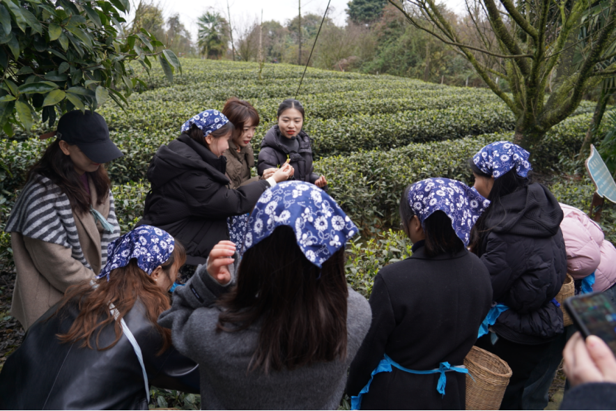 省尊龙凯时集团下属企业组织开展“三八”国际劳动妇女节主题活动